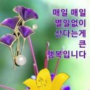 ♤&#39;트바로티&#39; 김호중♧ 이미지