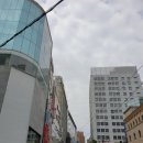 *예비신자의 첫걸음~! 명동성당가서 빛나는 세례를 함께해줄 미사보 사보기 (+종류,가격)