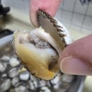 역전꼬막 이미지