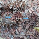 터골농장 이미지