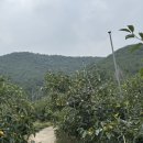 경원농장 이미지