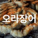 오라장어 : 가성비 좋고 맛도 좋은 제주시 장어 제주 오라동 맛집
