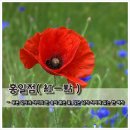 홍일점 이미지