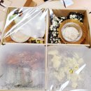 토마토케터링 | ▷도시락배달 박스케이터링(boxcatering) 한식도시락 후기 ♥