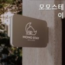 모모스테이