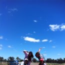 마크로코