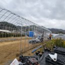 거성농자재 이미지