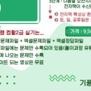 컴활 2급 단기 준비 방법 및 후기(필기2일, 실기4일)