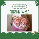 율포초등학교 이미지