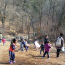 봉의초병설유치원 이미지