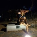 화순이양고 이미지