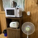 지리산숲속수목가옥 | 구례숙소- 자연을 좋아한다면 추천 &#34;숲속수목가옥&#34; /병꽃나무 후기