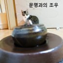 퓨어리펫