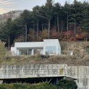 머스트화이트1동 이미지