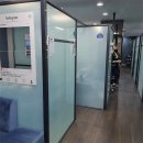 글로벌드보라 이미지