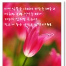 정성다해 이미지