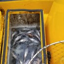 들에발전소 2호 이미지