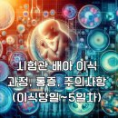 경북수정란이식수정소 | 동결배아 시험관 이식 후 증상, 과정, 주의사항 (이식당일~5일차)