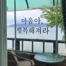 서포비치 이미지