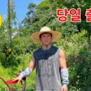 흙과삶농장 네이버블로그
