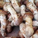 옥계동대산펜션 이미지