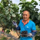 시골축산 이미지