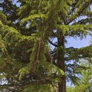 한진목장 이미지