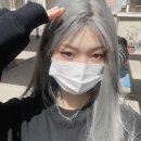 애쉬그레이 카카오 검색결과