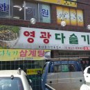 다슬기삼계탕 이미지