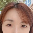 이니브 브로우 네이버블로그