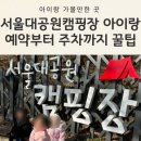 서울대공원 캠핑장 | 서울대공원 캠핑장 아이랑 : 예약·주차·즐길 거리 완벽 공략