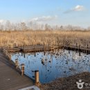 사계절이 Wa 사계절이 와 이미지