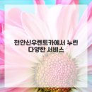 신우렌트카 이미지