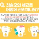 덴탈시그널치과의원 이미지