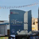 광산구-165 | 슬픔이의 제주 여행기(1)