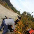 창희네 농장 이미지