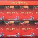 케이비티팜