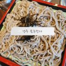 [일상기록] 아기랑 경주 블루판다에서 판모밀 먹고 나들이 다녀온 후기