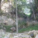 정심사입구 | 충주 정심사 (삼초대)