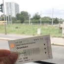 로미하우스 민박 | 드레스덴 여행) 한인민박 '로미하우스 (Romyhaus)' 후기