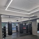 스트롱복싱 신정점 이미지