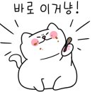 청해가리비칼국수 이미지