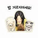 웨스턴5빌딩 | [일산 웨스턴돔 미용실 추천｜아이디헤어 2호점 율 부원장 그레이스펌 후기]