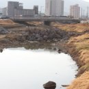 대청천L 이미지