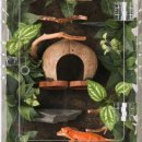 몽이네컷 | 두몽이네 마뱀이들 크레스티드게코 사육장 후기