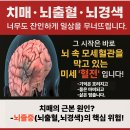 김연경이 부항을 뜰 수밖에 없는 이유 (승부의 여신이 감내하는 고통) 이미지