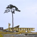 해들에너지협동조합 태양광발전소 | 이와테현, 기술과 자연의 경계에 선 복원력의 땅