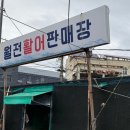 [부산 기장] 바다뷰 보며 해산물 먹고싶다면 추천&#39;기장 월전 활어판매장&#39;