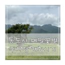 개화 | 양산 통도사 메밀밭 위치 주차장 메밀꽃 개화 후기