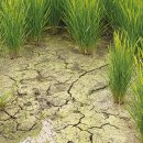 춘천소방서 강촌119안전센터 이미지